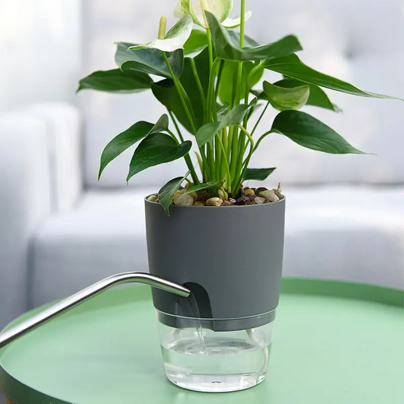 Self-Watering Plant Pot